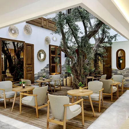 Gulluk Elegance